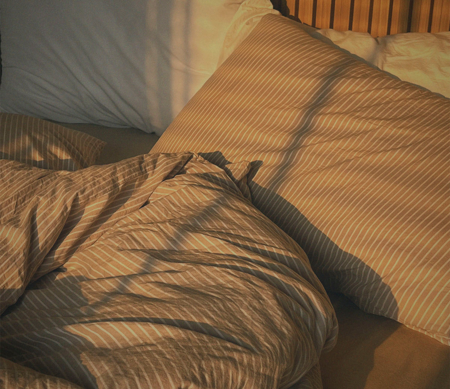 Sleep & Rest